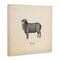 Stupell Industries Baa Farm Sheep Sounds Canvas Wall Art Design by Wild Apple Portfolio